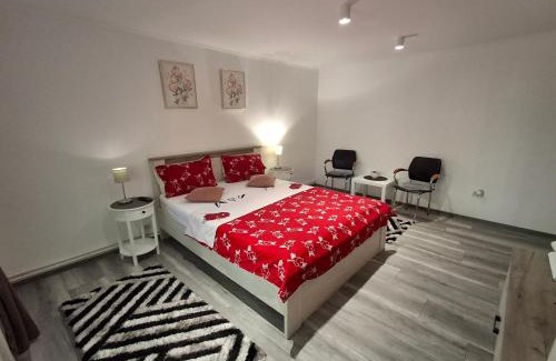 Emanoil Gojdu Appartement | Apartament Claudia