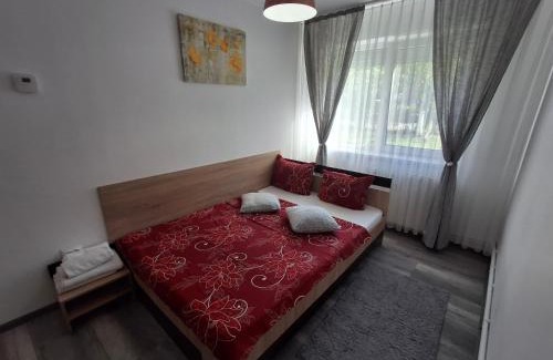 Emanoil Gojdu Appartement | Apartament Claudia