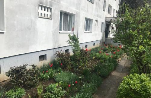 Cluj-Napoca Appartement | Apartament Colina