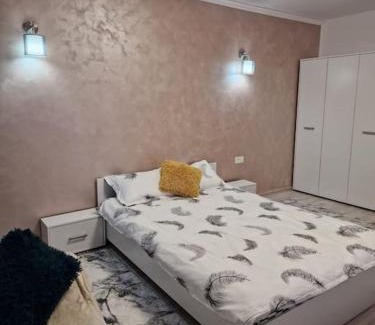 Resita Appartement | Apartament cu o camera