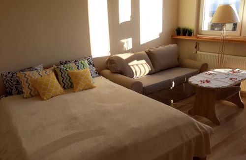 Swiecie Appartement | Apartament Czwarte Piętro
