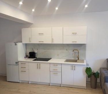Swiebodzice Appartement | Apartament Daisy