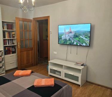 Emanoil Gojdu Maison | Apartament David Deva - 2 dormitoare & 1 living