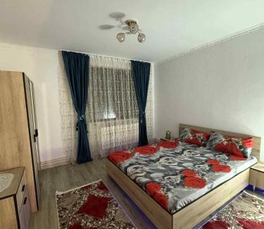 Turnu Magurele Appartement | Apartament de închiriat