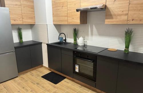 Zmigrod Appartement | Apartament Dolina Baryczy