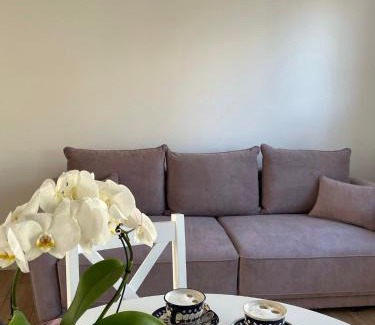 Sandomierz Appartement | Apartament -Dwudziestka