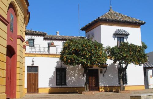 Jerez de los Caballeros Appartement | Apartamento Plaza de Toros