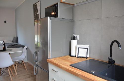 Rybnik Appartement | Apartament Fibra Flat White