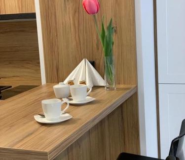 Bydgoszcz Appartement | Apartament Fordon przy Onkologii