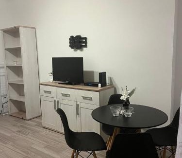 Zabrze Appartement | Apartament Górnik