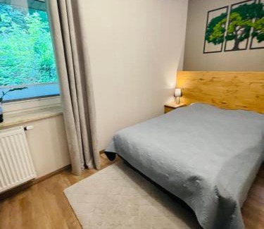Porabka Appartement | Apartament Góry i Potok