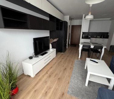 Piecki-Migowo Appartement | Apartament Gdańsk, darmowy parking prywatny