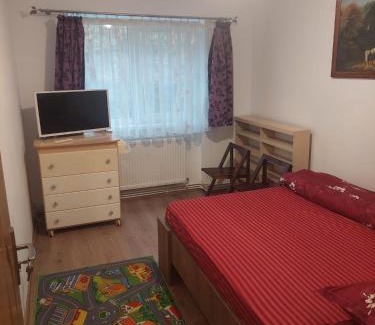 Baile Tusnad Appartement | Apartament Georgian