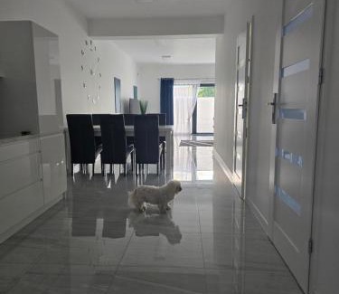 Bodzentyn Appartement | Apartament Gościniec