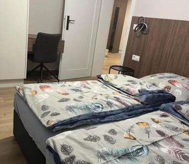 Pleszew Appartement | Apartament HALLERA