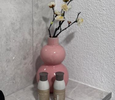 Ploiesti Appartement | Apartament in Ploiesti 1