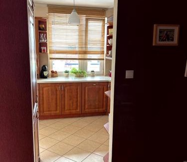Fabryczna Appartement | Apartament Kozia