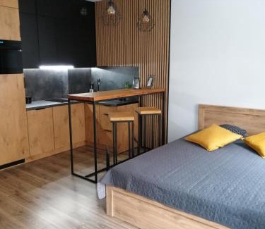 Tczew Appartement | Apartament Kozigród