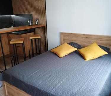 Tczew Appartement | Apartament Kozigród
