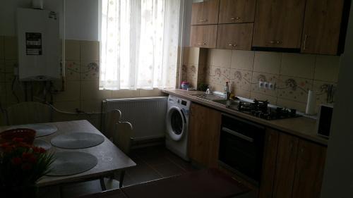 Calimanesti Appartement | Apartament Lavinia