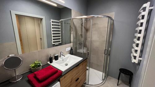 Old Town Appartement | Apartament Lublin Old Town "Serval Cat"