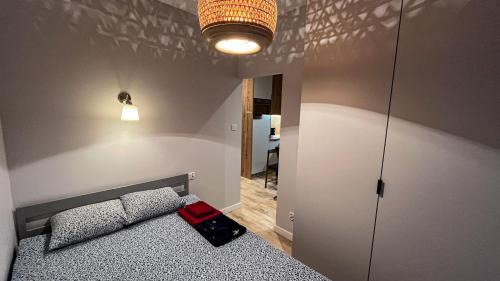 Old Town Appartement | Apartament Lublin Old Town "Serval Cat"