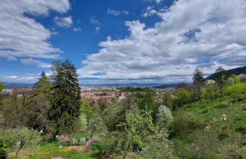 Brasov Appartement | Apartament Matei