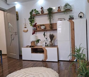 Medias Appartement | Apartament Medias Metanului
