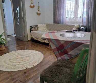 Medias Appartement | Apartament Medias Metanului