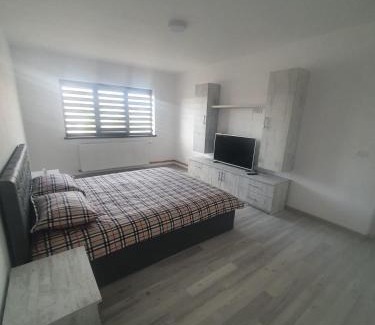 Curtea De Arges Appartement | Apartament Nicole