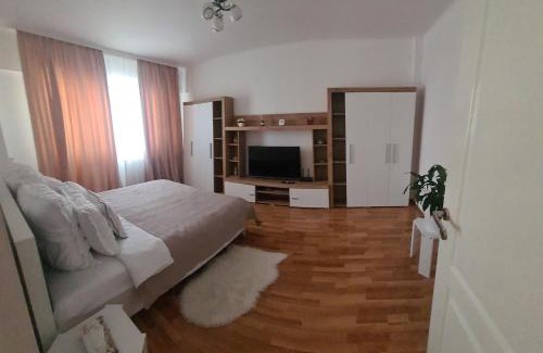 Negresti-Oas Appartement | Apartament Oașul