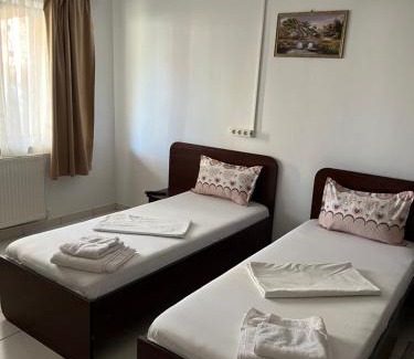Emanoil Gojdu Appartement | Apartament Octav