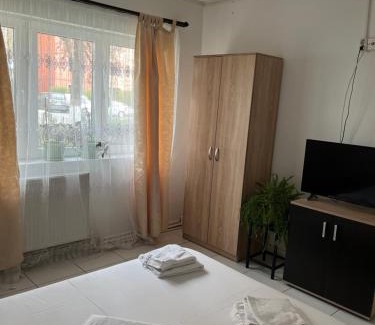 Emanoil Gojdu Appartement | Apartament Octav