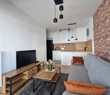 Rzeszow Appartement | Apartament Paderewskiego Two Bedrooms Private Garage Air Condition