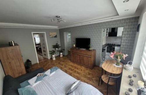 Sandomierz Appartement | Apartament Park Saski