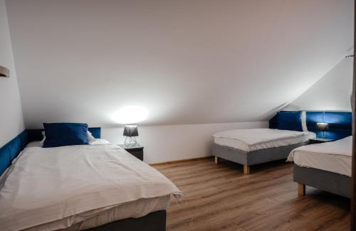 gmina Plesna Appartement | Apartament w Winiarni