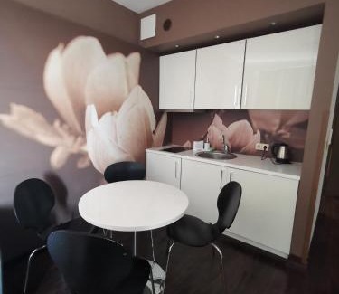 Dzielnica Uzdrowiskowa Appartement | Apartament prywatny salon z aneksem kuchennym, sypialnią w hotelu DIVA