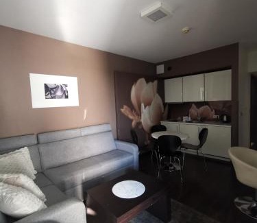 Dzielnica Uzdrowiskowa Appartement | Apartament prywatny salon z aneksem kuchennym, sypialnią w hotelu DIVA