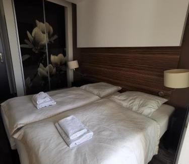 Dzielnica Uzdrowiskowa Appartement | Apartament prywatny salon z aneksem kuchennym, sypialnią w hotelu DIVA