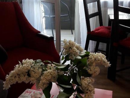Siedlce Appartement | Apartament przy Parku