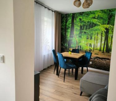 Radkow Appartement | Apartament Przy Rynku w Radkowie