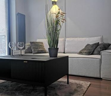 Lagiewniki Appartement | Apartament Raciborska 1