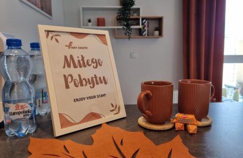 Bydgoszcz Appartement | Apartament Rudy Zakątek w Centrum Bydgoszczy