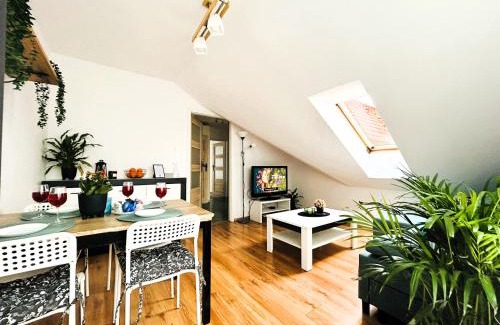 Opole Appartement | Apartament Słoneczny 1