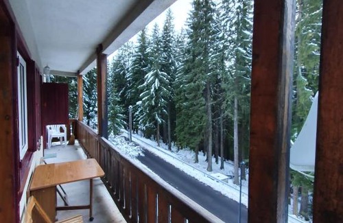 Paltinis Appartement | Cabana din bloc