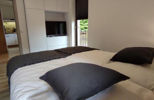 Stronie Slaskie Appartement | Apartament Szumi Las Kletno