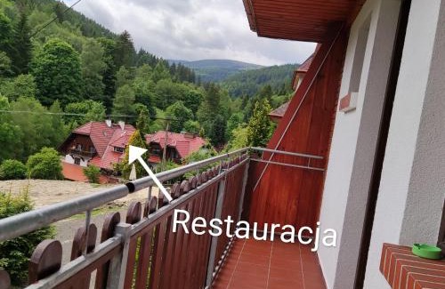 Stronie Slaskie Appartement | Apartament Szumi Las Kletno