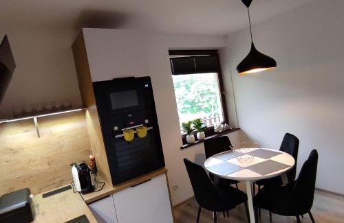 Stronie Slaskie Appartement | Apartament Szumi Las Kletno
