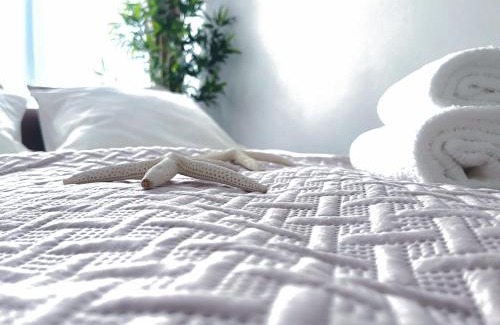 Torun Appartement | Apartament Toruń Orbita free parking