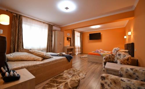 Hateg Appartement | Apartament TRIDENT